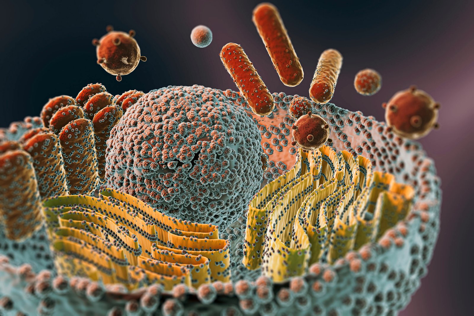 Online Diploma In Cell Biology