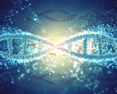 Level 6 Diploma In Genetics