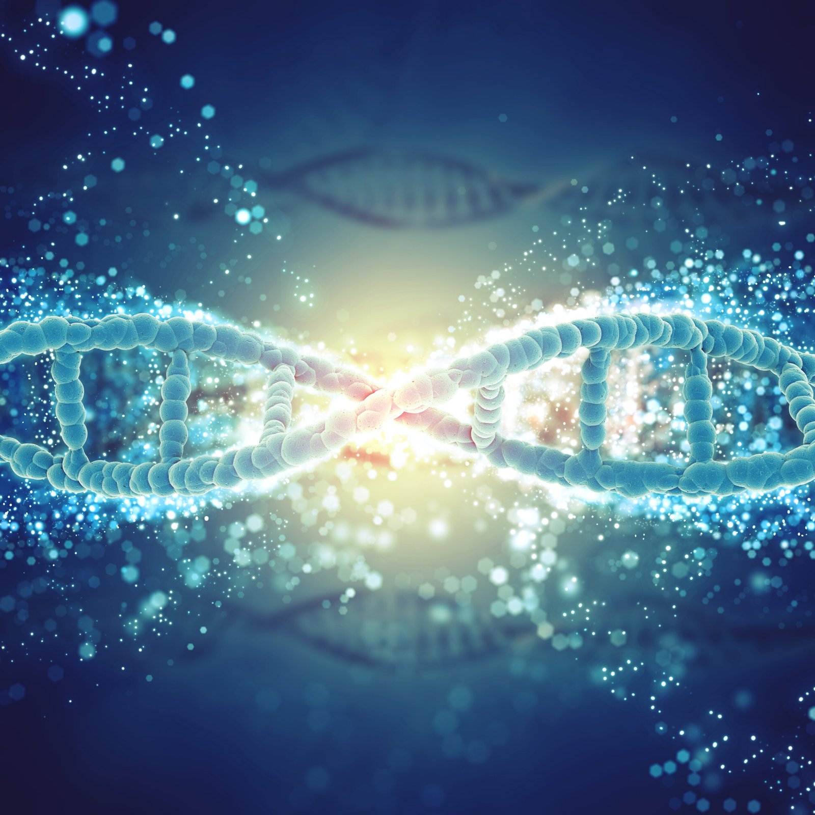 Online Diploma In Genetics