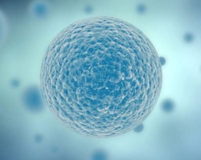 Level 6 Diploma In Cell Biology