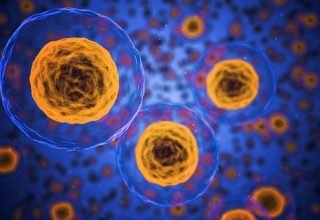 Level 6 Diploma In Immunology