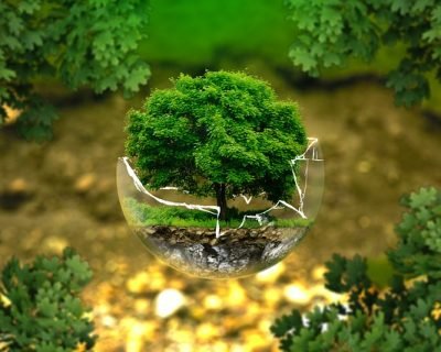 Environmental Improvements Certificate Level 6