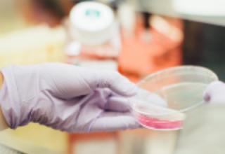 Level 6 Diploma in Radiobiology