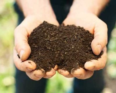 Level 6 Diploma in Soil Biology