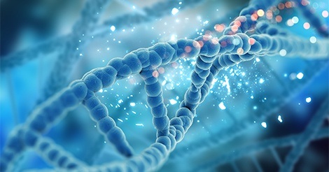 Online DNA Diploma