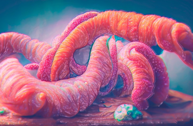 Parasite Biology online diploma