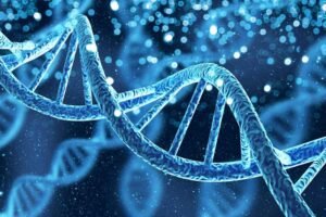 Postgraduate Level 7 Diploma in DNA