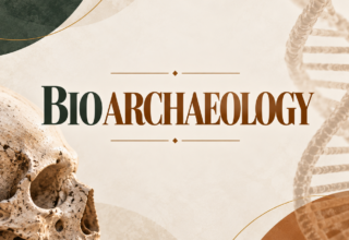 Postgraduate Level 7 Diploma In Bioarchaeology