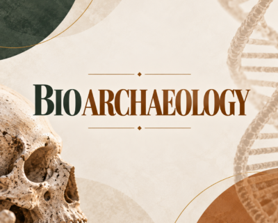 Postgraduate Level 7 Diploma In Bioarchaeology