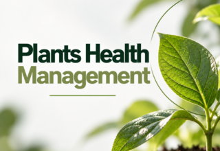 Postgraduate Level 7 Diploma In Plants Health Management